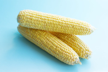 three large cobs of ripe corn on a blue background. Vitamins, vegetable diet, proper nutrition, healthy and balanced nutrition. Rich harvest from the garden