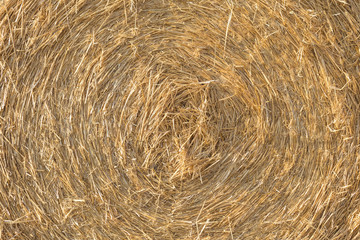 natural background with roll bale of wheat straw
