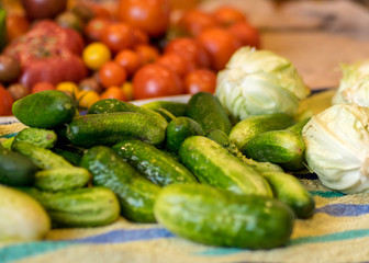 various vegetables harvested from the field and washed, harvest time, vegetable canning, summer