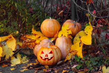 yellow pumpkins for Halloween on a background of yellow and red leaves