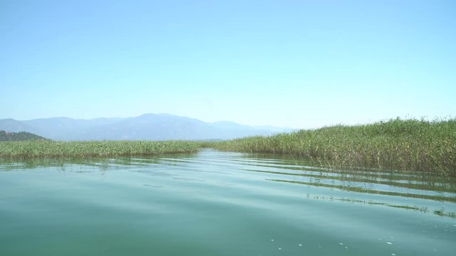 yacht ride in the reed-covered canal