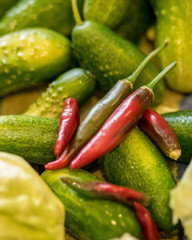 various vegetables harvested from the field and washed, harvest time, vegetable canning, summer