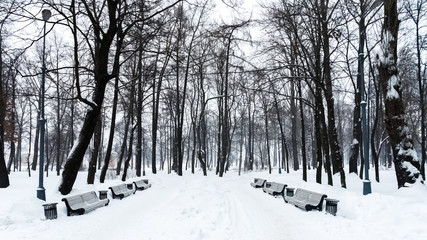Snow-covered benches in a winter park