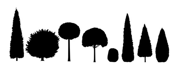 Variety of vector decorative garden trees silhouettes isolated on a white background. Can be used as digital brushes source. Vector.