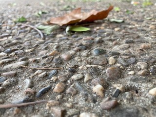 Una hoja seca caída sobre suelo empedrado. Comienza el otoño