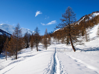 Obraz premium snowy winter panorama of the valley.