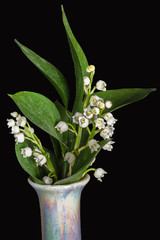 Lily of the valley