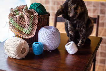 Gato casco de tartaruga, derrubando linha e um cesto com trabalhos de crochê sobre a mesa de madeira . - obrazy, fototapety, plakaty