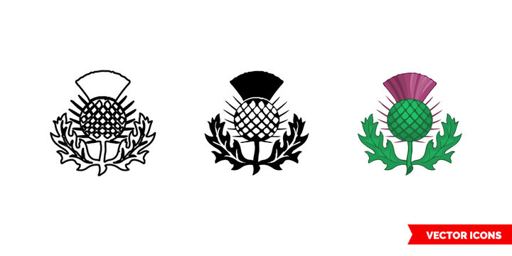 Thistle symbol of scotland icon of 3 types color, black and white, outline. Isolated vector sign symbol.