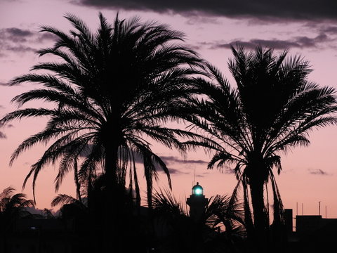 Faro entre palmeras