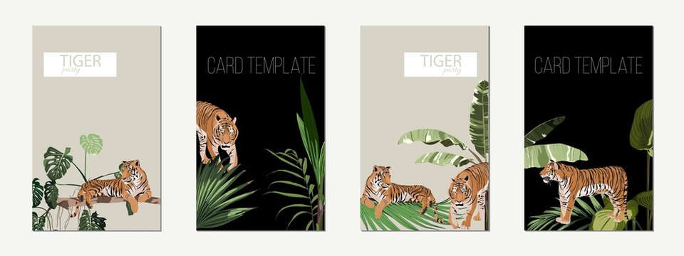 Poster or card template set of tigers and tropical leaves. Trendy illustration.