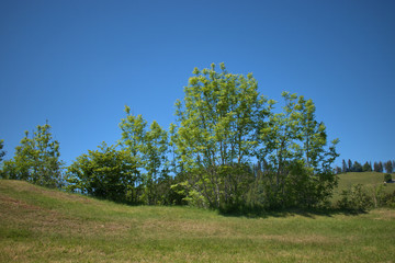 Obraz premium Appenzellerland in der Schweiz 1.6.2020