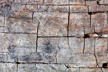 Weathered tree trunk with cracks without bark