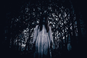 Portrait of asian woman make up ghost face with blood,Horror scene,Scary background,Halloween...