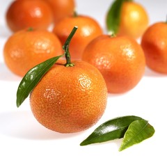 Clementine Fruits, citrus reticulata against White Background