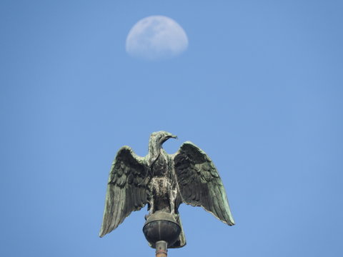&Aacute;guila en la luna