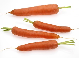 Carrots, daucus carota, Vegetables against White Background