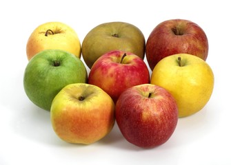 Apples, Calville, Canada, Golden, Granny Smith, Pink Lady, Royal Gala, Starling, malus domestica