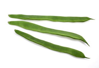 French Beans called Coco Plat, phaseolus vulgaris, Beans against White Background
