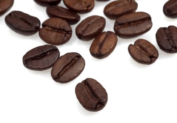 Coffee Beans, coffea arabica against White Background