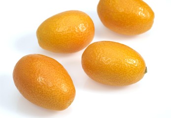 Kumquat, fortunella margarita, Fruits against White Background