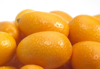 Kumquat, fortunella margarita, Fruits against White Background