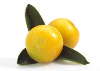Kumquat, fortunella margarita, Fruits against White Background