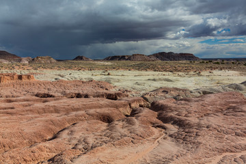 Fototapeta premium Badlands, Petrified Forest National Park, Arizona, USA, America