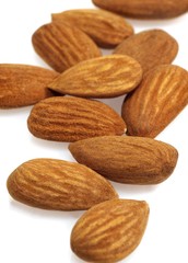 Sweet Almond, prunus dulcis, Dried Fruits against White Background