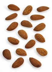 Sweet Almond, prunus dulcis, Dried Fruits against White Background