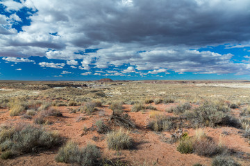 Badlands, Petrified Forest National Park, Arizona, USA, America