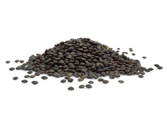 French Green Puy Lentils, lens esculenta, Dry Vegetables against White Background