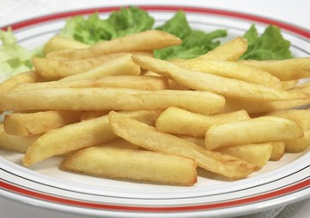 Plate with French Fries