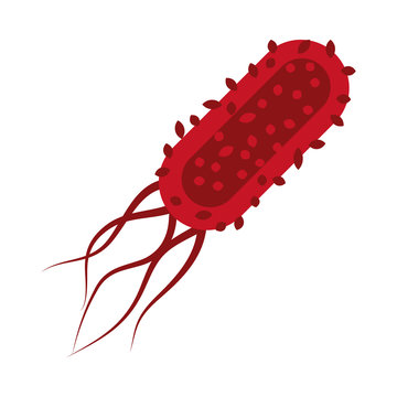 salmonella bacteria icon, flat style