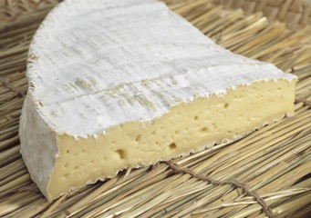 Brie de Meaux, a French Cheese made from Cow's Milk