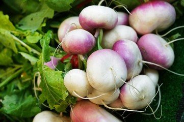 Turnips, brassica rapa