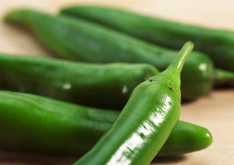 Green Chili Pepper, capsicum annuum