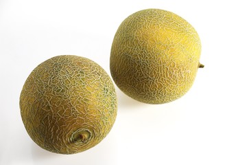 Italian Melon, cucumis melo, Fruits against White Background