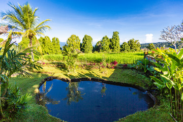 Munduk is a small village located in the mountains of Bali. The village itself is not very interesting, but the beautiful surroundings make it a very nice destination.