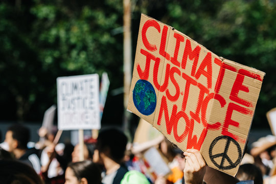 Protest sign at the global climate strike