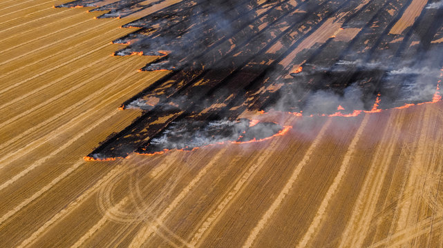 Fast-growing smoking fire leaving black rows in yellow wheat field