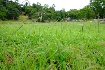 beautiful hot spring and landscape wallpaper background