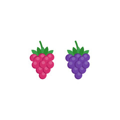 This is a berry. Raspberry and blackberry on white background.
