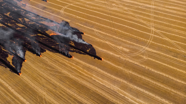 Fast-growing smoking fire in dry yellow wheat field