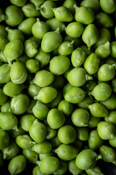Green beans - macro shoot