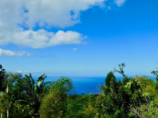 Fototapeta na wymiar sea view from the rainforest