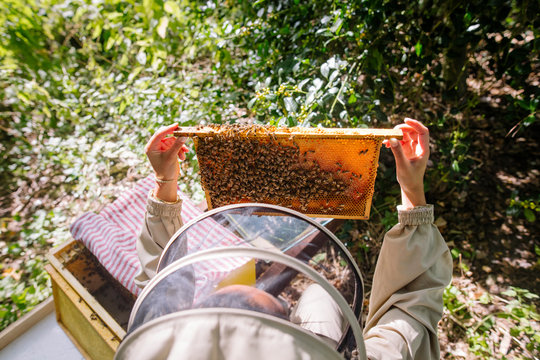 Female beekeeper checking her bee hive for bees and honey.