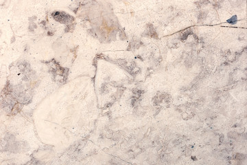 Marble texture, marble background for design with copy space for text or image. Marble motifs that occurs natural.