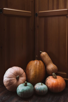 group of diverse pumpkins