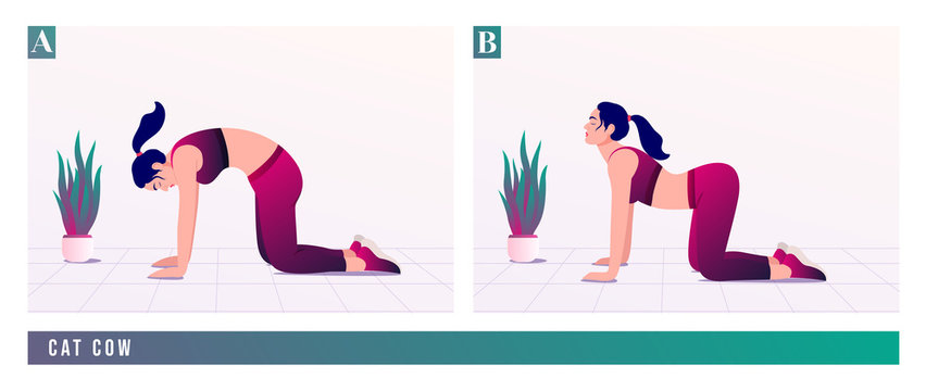 Cat Cow Exercise, Woman Workout Fitness, Aerobic And Exercises. Vector Illustration.